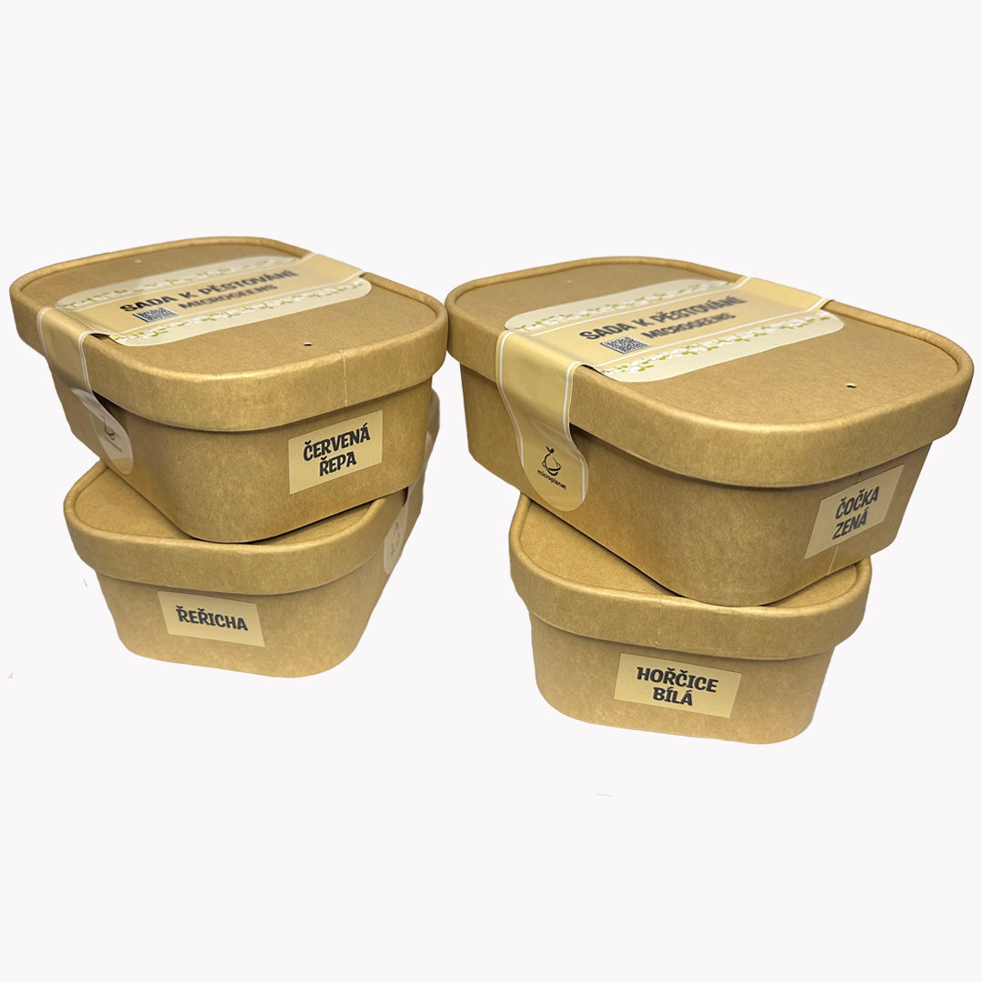 Velký set pro začátečníky v microgreens