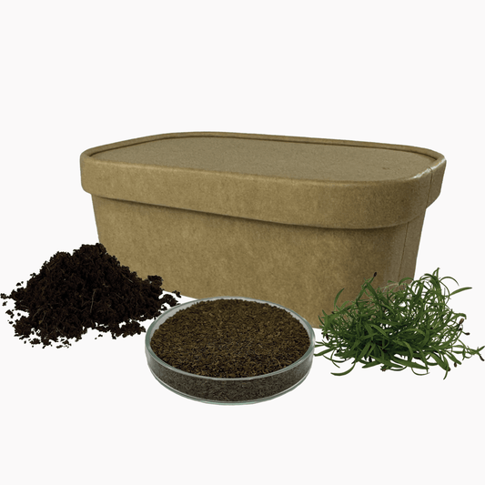 Sada pro pěstování | Mrkev