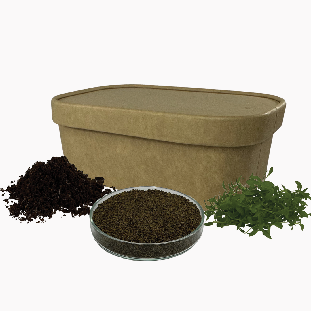 Sada pro pěstování | Petržel