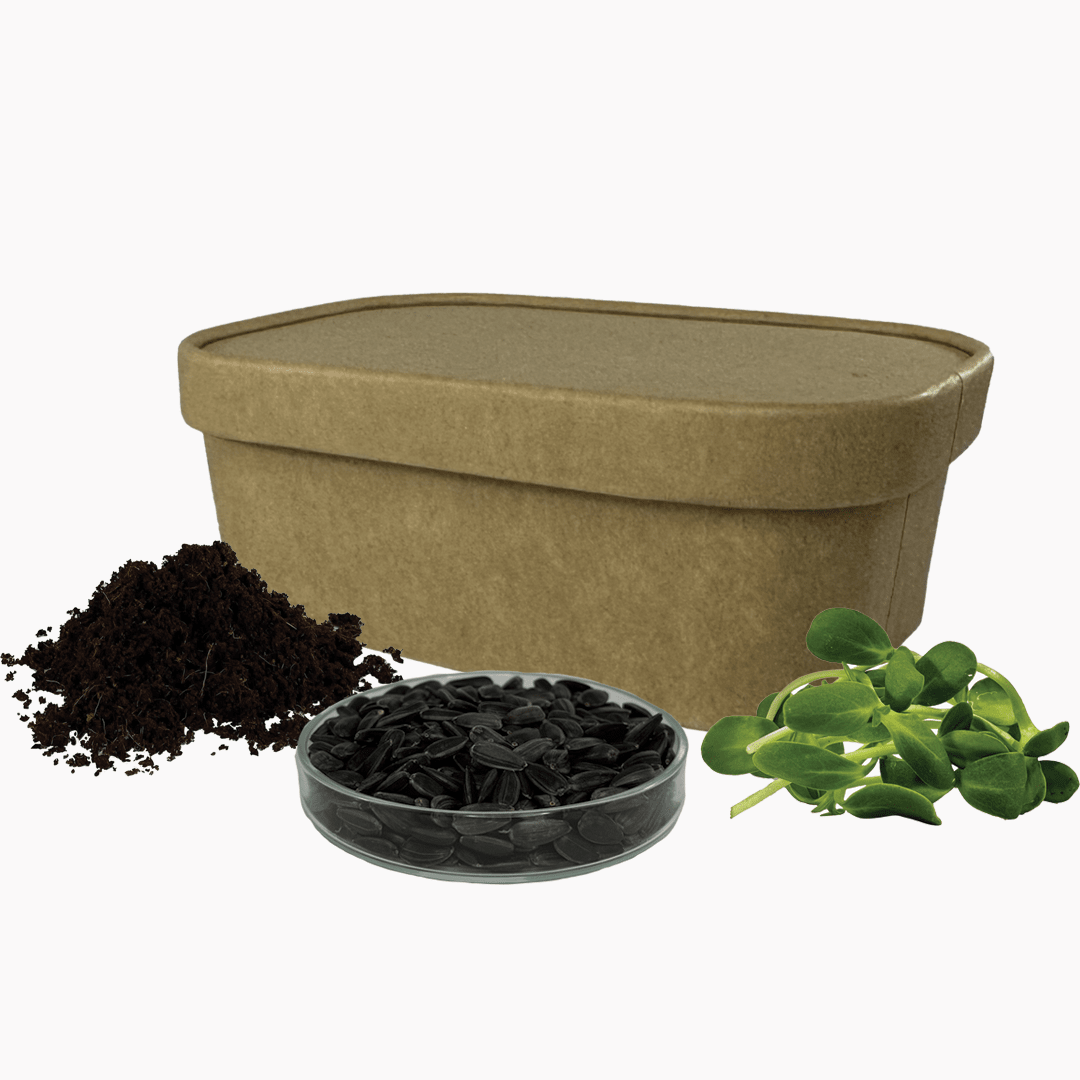 Sada pro pěstování | Slunečnice